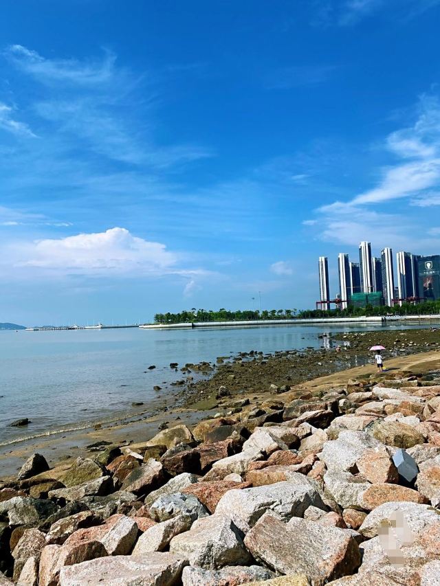 罗湖口岸深圳蛇口口岸接送服务